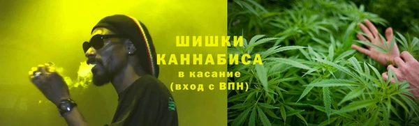 амф Аркадак