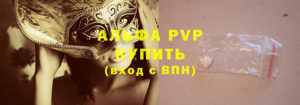 ешки Арсеньев