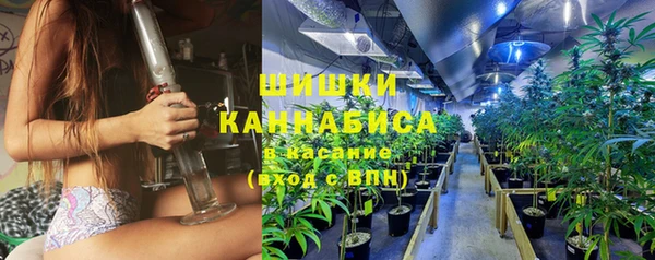 амф Аркадак