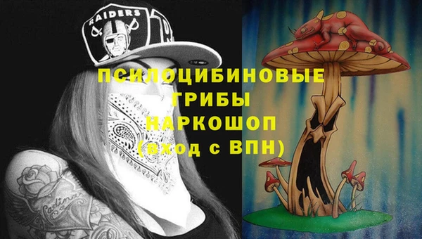 ешки Арсеньев