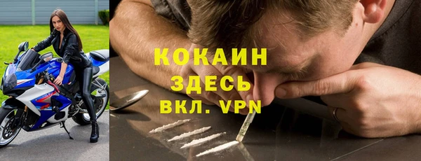 ешки Арсеньев