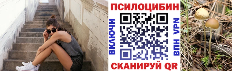 Псилоцибиновые грибы Magic Shrooms  Купить где  Осташков 